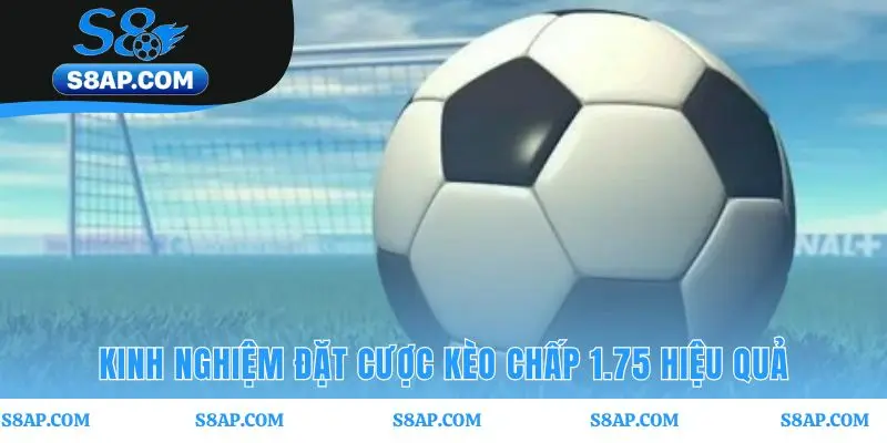 Kinh nghiệm cược kèo chấp 1.75 hiệu quả từ phân tích đội bóng