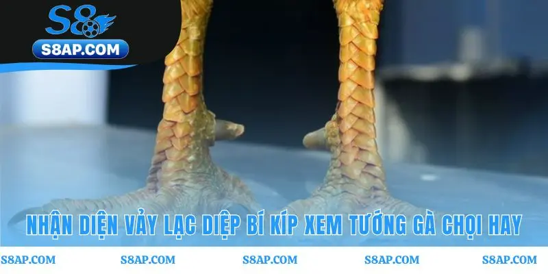 Vị trí độc nhất trên ngón giữa xác định Vảy lạc diệp quý