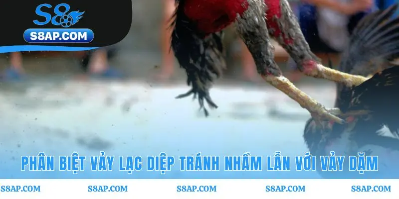 Vị trí và hình dáng sắc nét phân biệt Vảy quý